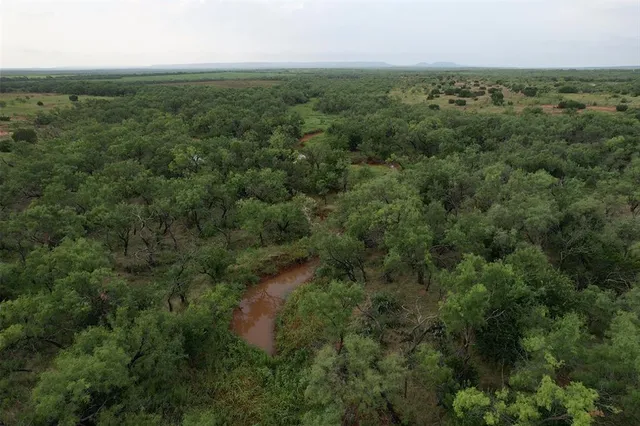 a view of a green field with lots of bushes