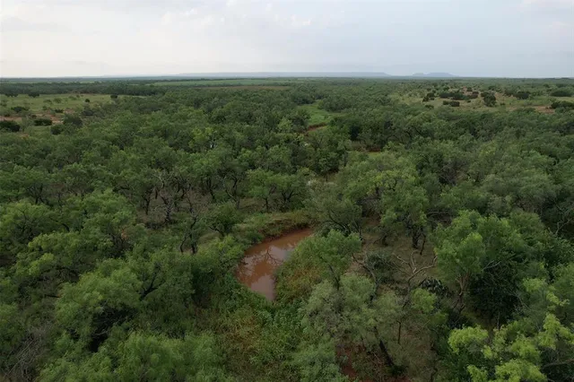 a view of a green field with lots of trees