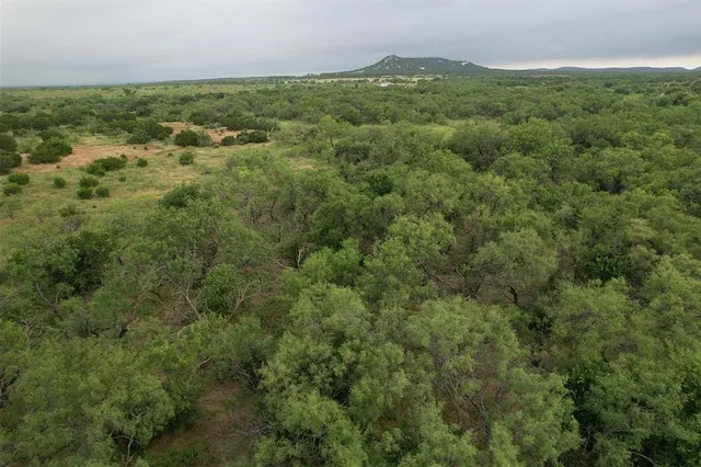 an aerial view of residential houses with outdoor space and trees