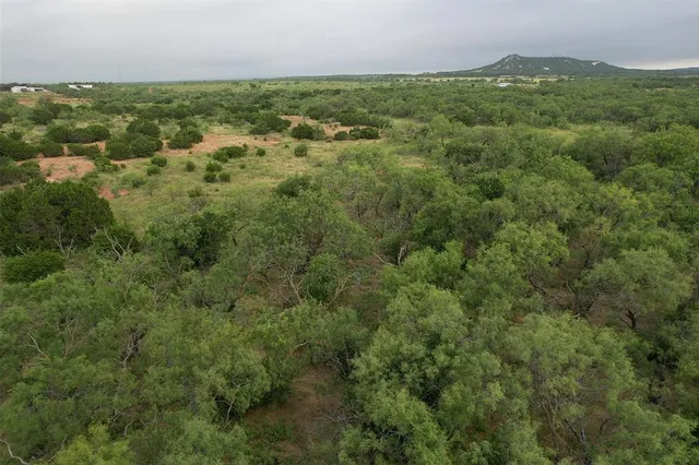a view of a city with lush green forest