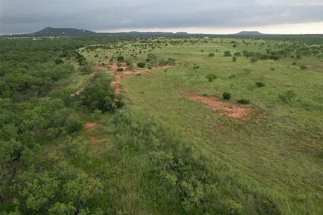 a view of a green field with lots of bushes
