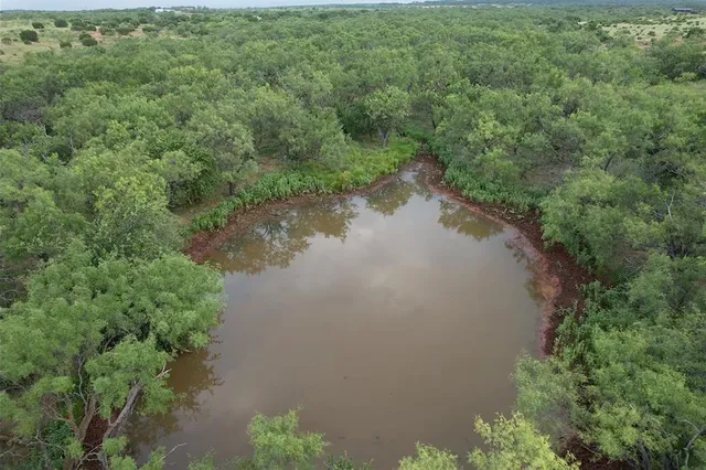 a view of a forest with a yard