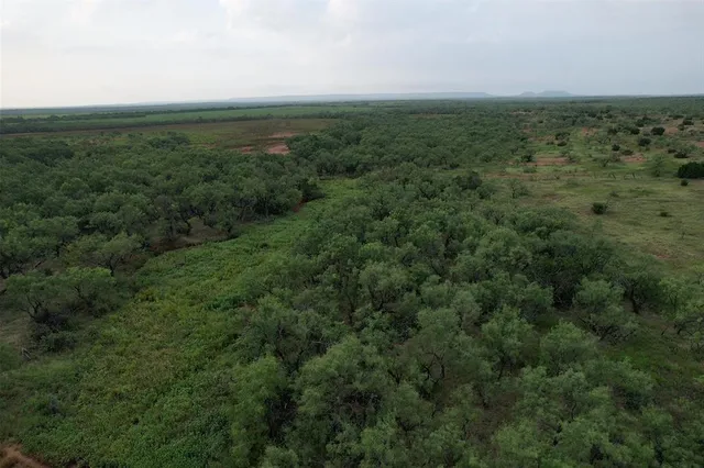 a view of a green yard