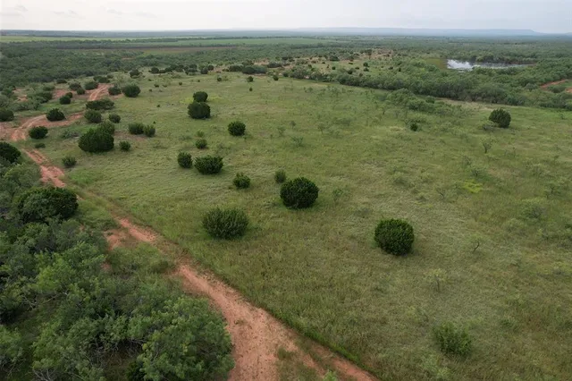 a view of a city with lush green forest