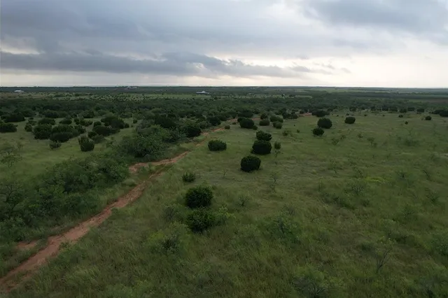 a view of a field of grass and trees
