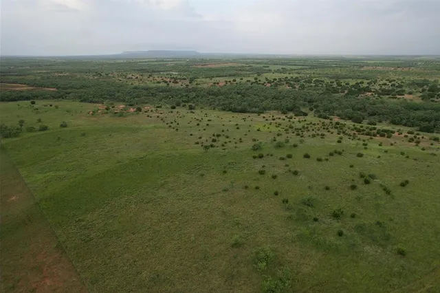 a view of a field with an ocean
