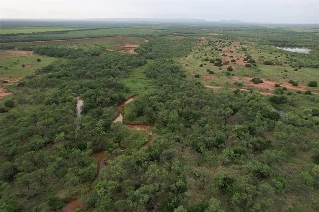 a view of a city with lush green forest