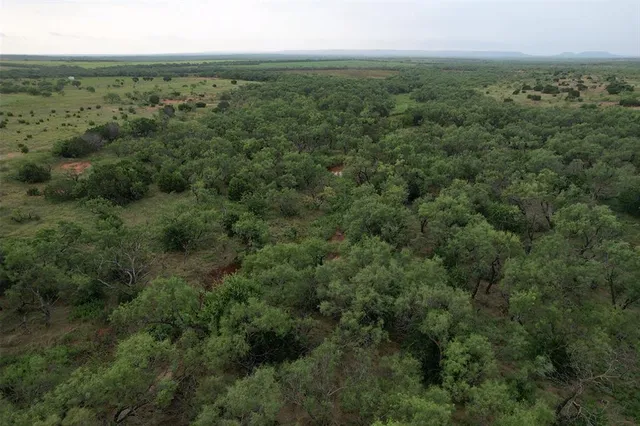 a view of a forest with a houses