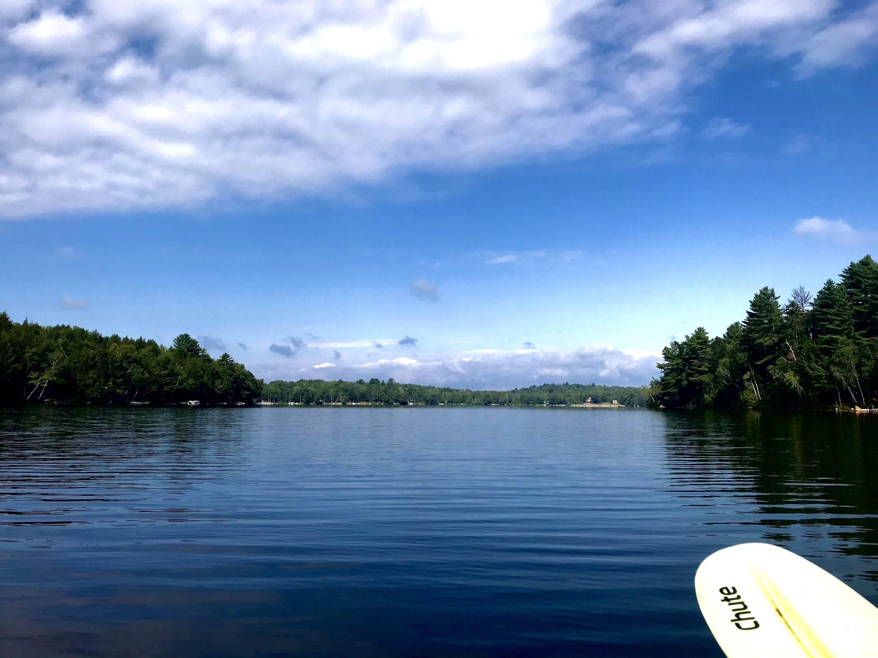 1790 Houston Road Lincoln, ME 04457 - Photo 61 of 67 Great area for paddle boarding...