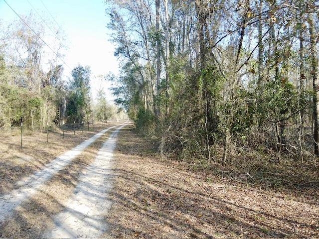 Northeast Cedar Trail Pinetta, FL 32350 - Photo 15 of 15