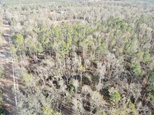 Northeast Cedar Trail Pinetta, FL 32350 - Photo 3 of 15