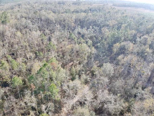 Northeast Cedar Trail Pinetta, FL 32350 - Photo 4 of 15