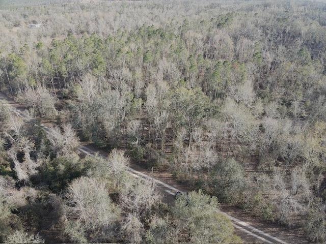 Northeast Cedar Trail Pinetta, FL 32350 - Photo 5 of 15