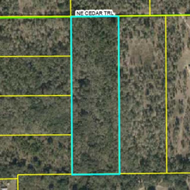 Northeast Cedar Trail Pinetta, FL 32350 - Photo 7 of 15