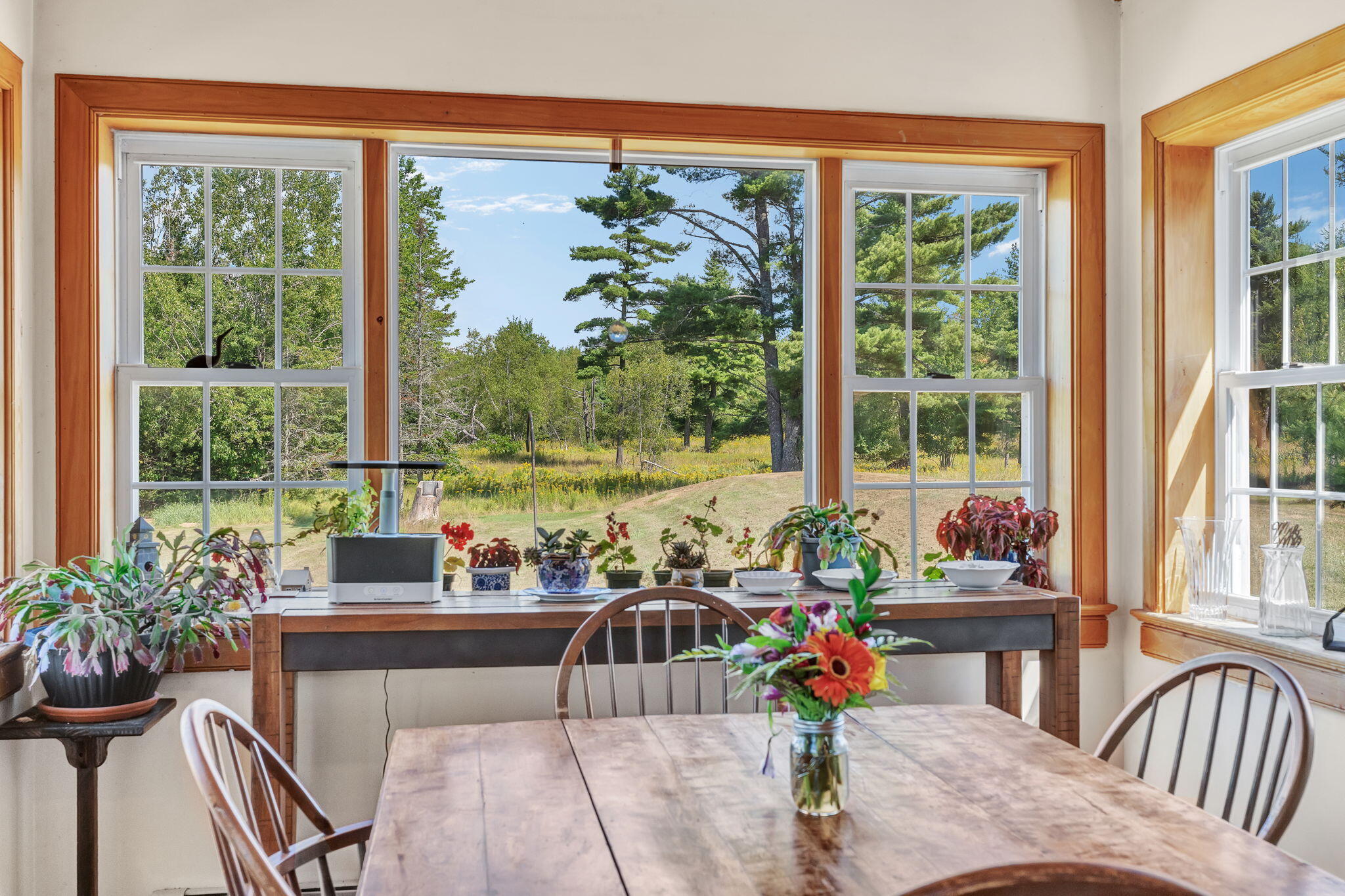 368 Partridge Cove Road Lamoine, ME 04605 - Photo 38 of 107 51-web-or-mls-368-partridge-cove-rd