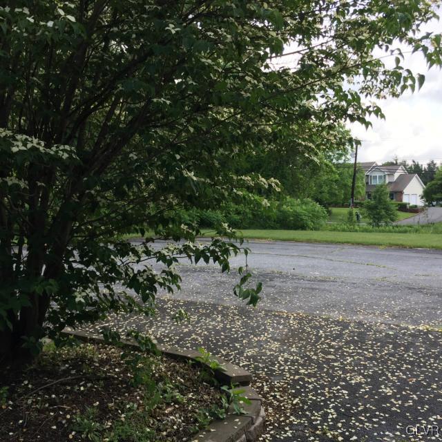 1640 North Brookside Road Lower Macungie Township, PA 18062 - Photo 13 of 19