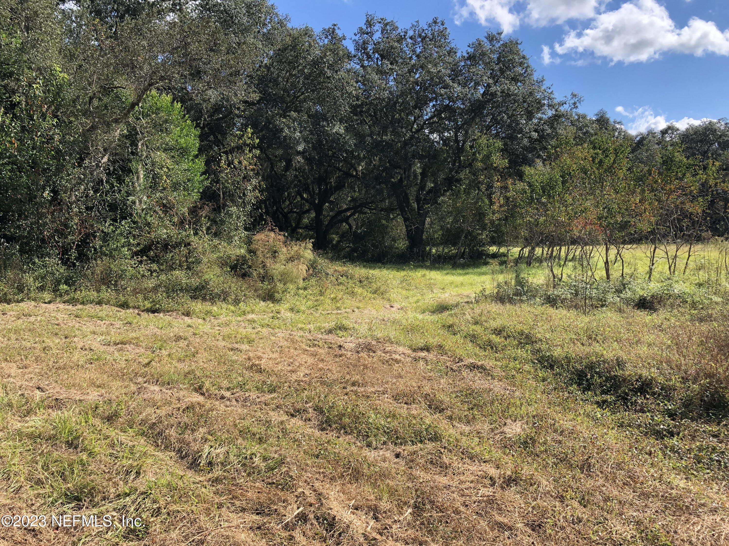 0 Blue Hole Road Macclenny, FL 32063 - Photo 1 of 1 macclenny land