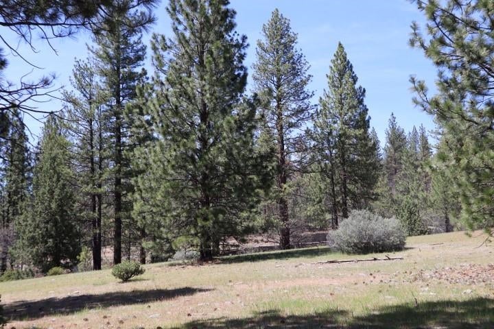 0 Masterson Road Gazelle, CA 96034 - Photo 26 of 26 Gallery Image 26