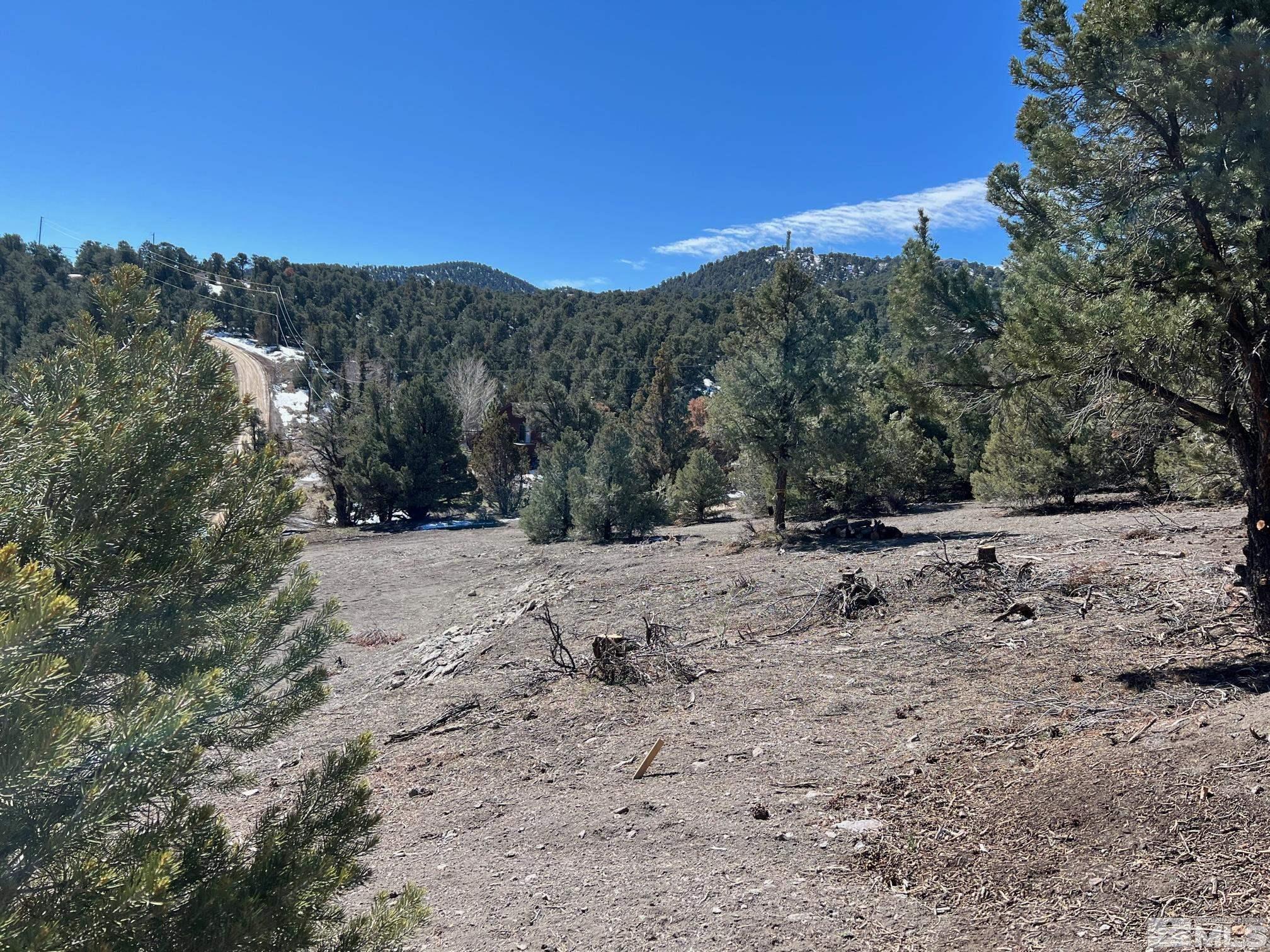 21630 Sazarac Road, Unit 35 Reno, NV 89521 - Photo 4 of 40 a view of a yard with a tree
