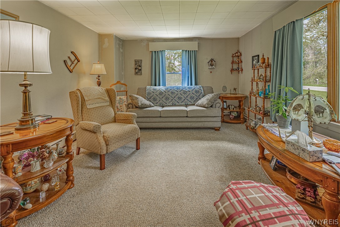 1659 Carmen Road Somerset, NY 14012 - Photo 22 of 37