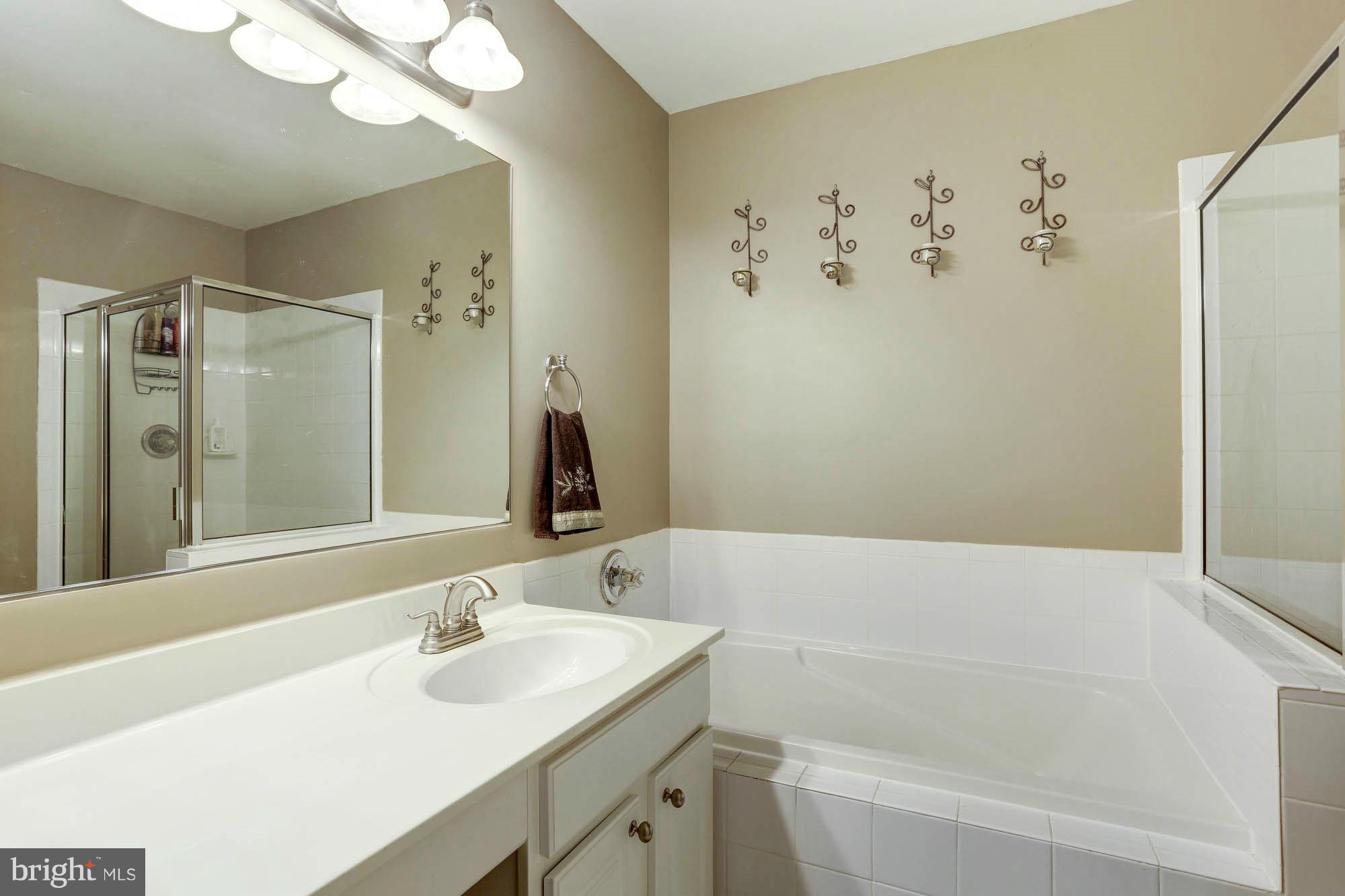 8411 Glad Rivers Row Columbia, MD 21045 - Photo 20 of 30 Bath (Master)