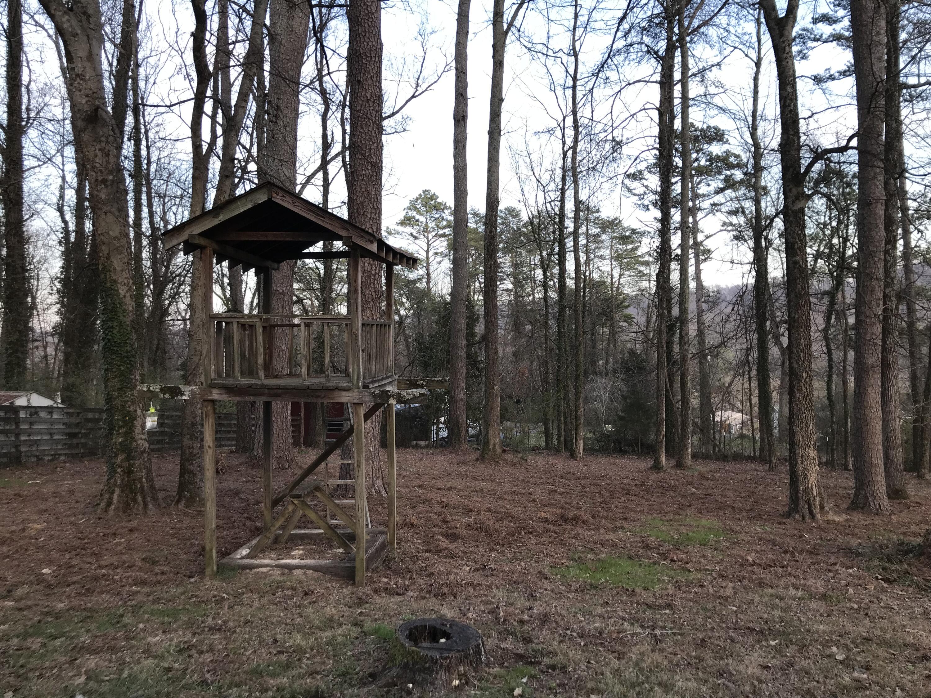 941 Dry Valley Road Rossville, GA 30741 - Photo 20 of 25 IMG_7712