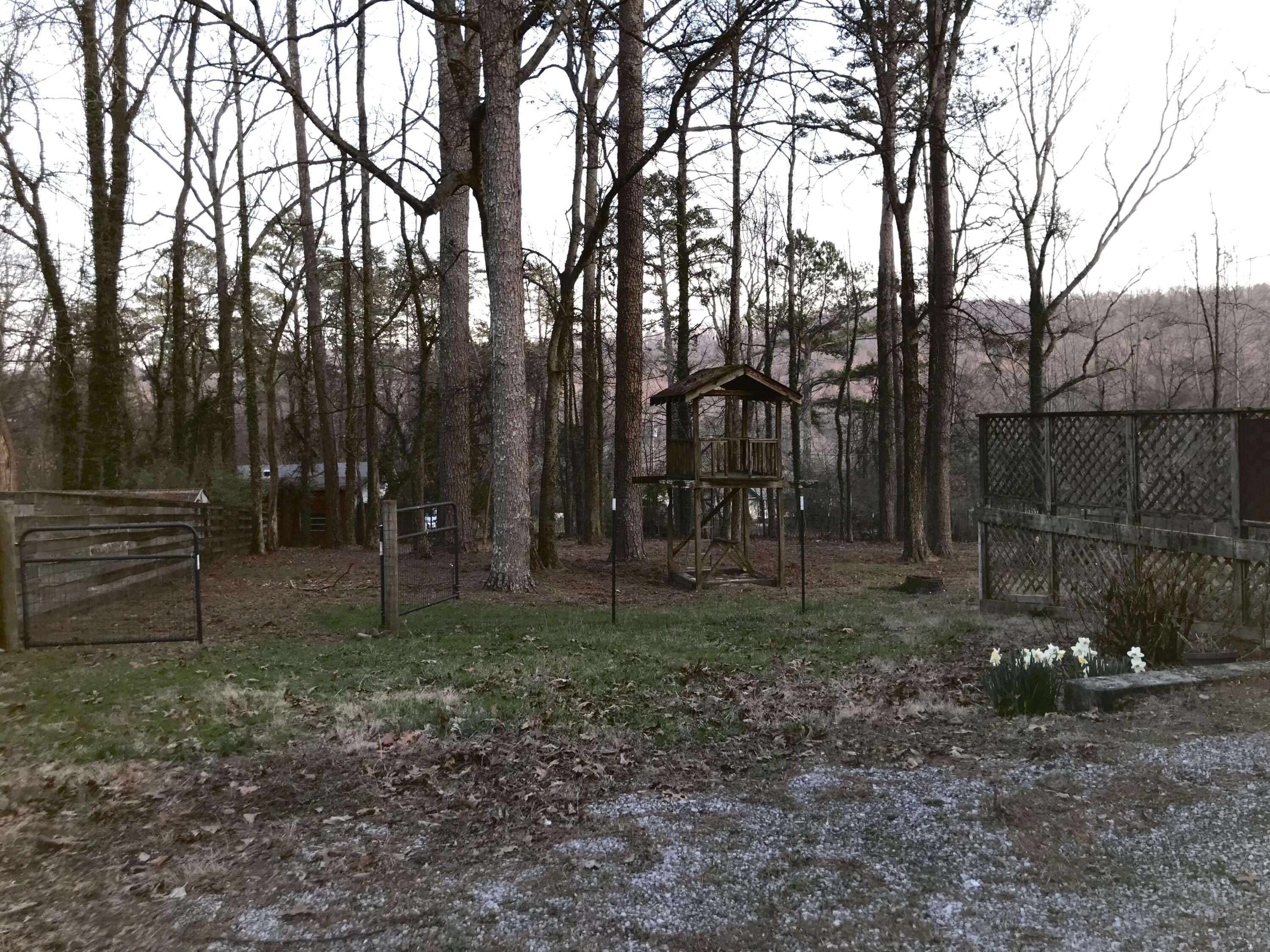 941 Dry Valley Road Rossville, GA 30741 - Photo 23 of 25 IMG_7732