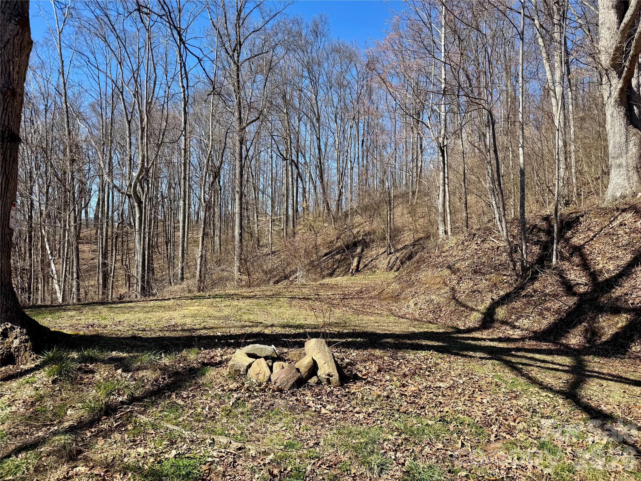 99999 North Fork Road Barnardsville, NC 28709 - Photo 11 of 12