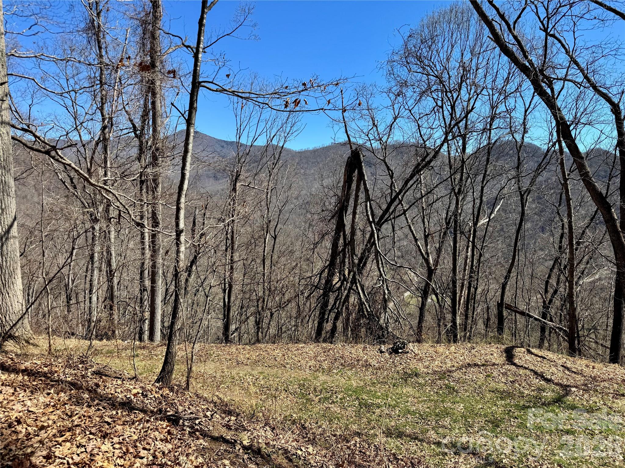 99999 North Fork Road Barnardsville, NC 28709 - Photo 12 of 12