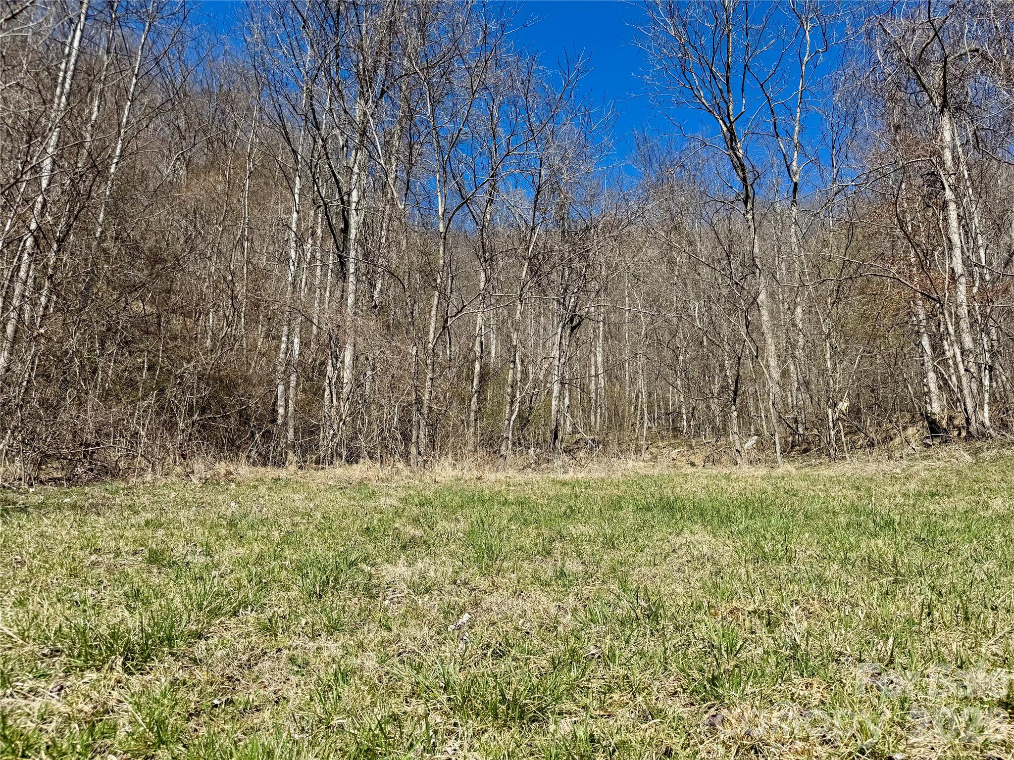 99999 North Fork Road Barnardsville, NC 28709 - Photo 2 of 12