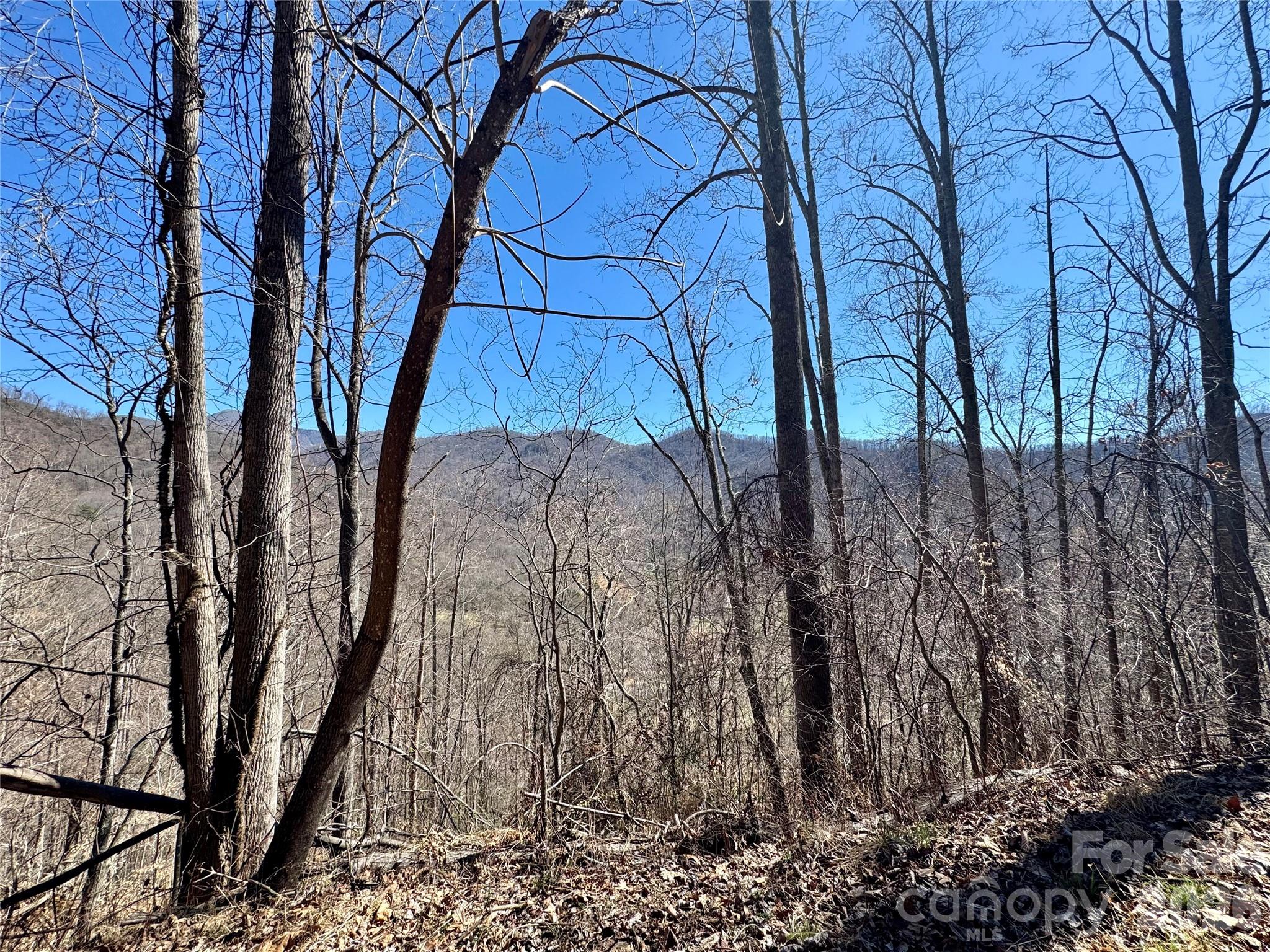 99999 North Fork Road Barnardsville, NC 28709 - Photo 4 of 12