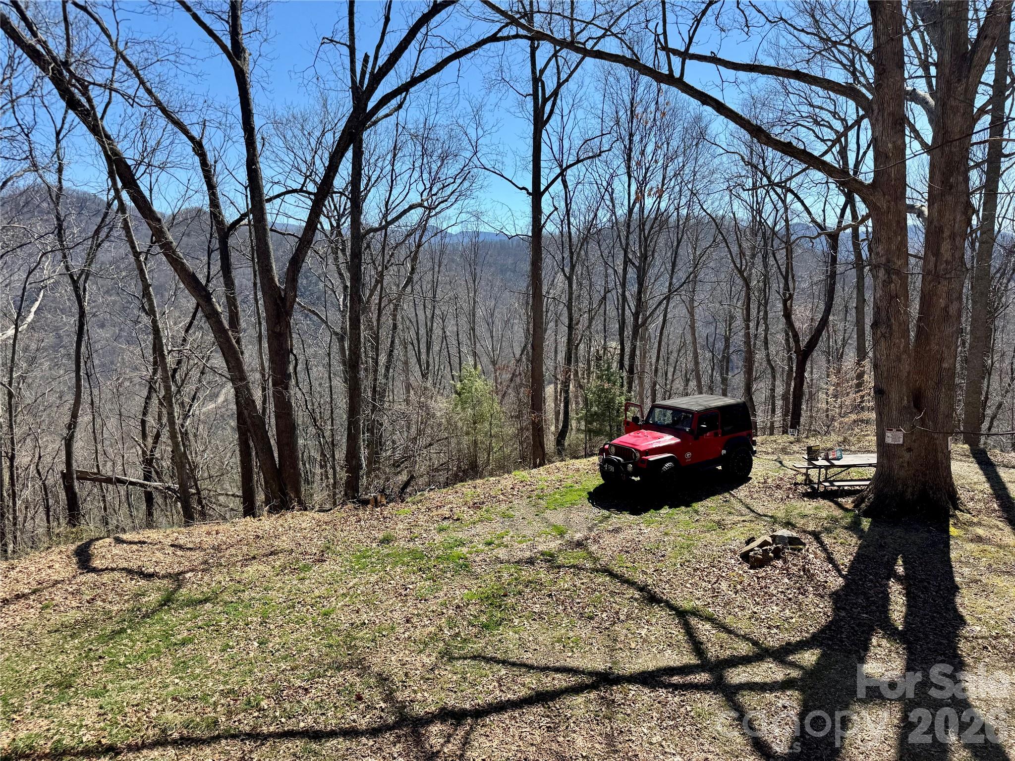 99999 North Fork Road Barnardsville, NC 28709 - Photo 5 of 12