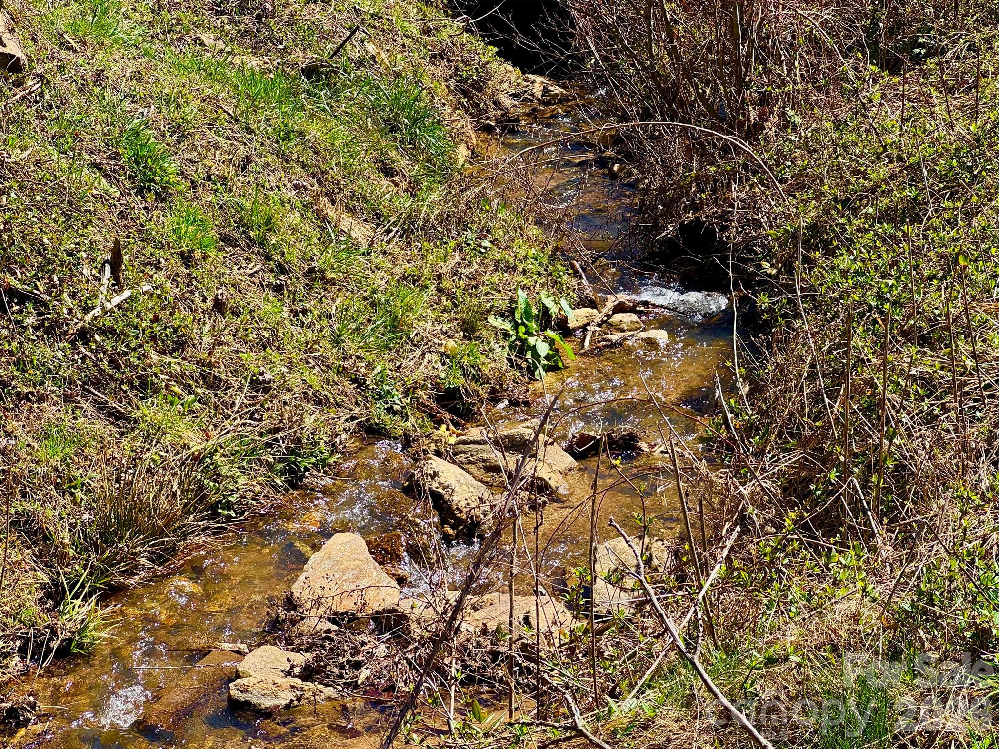 99999 North Fork Road Barnardsville, NC 28709 - Photo 6 of 12