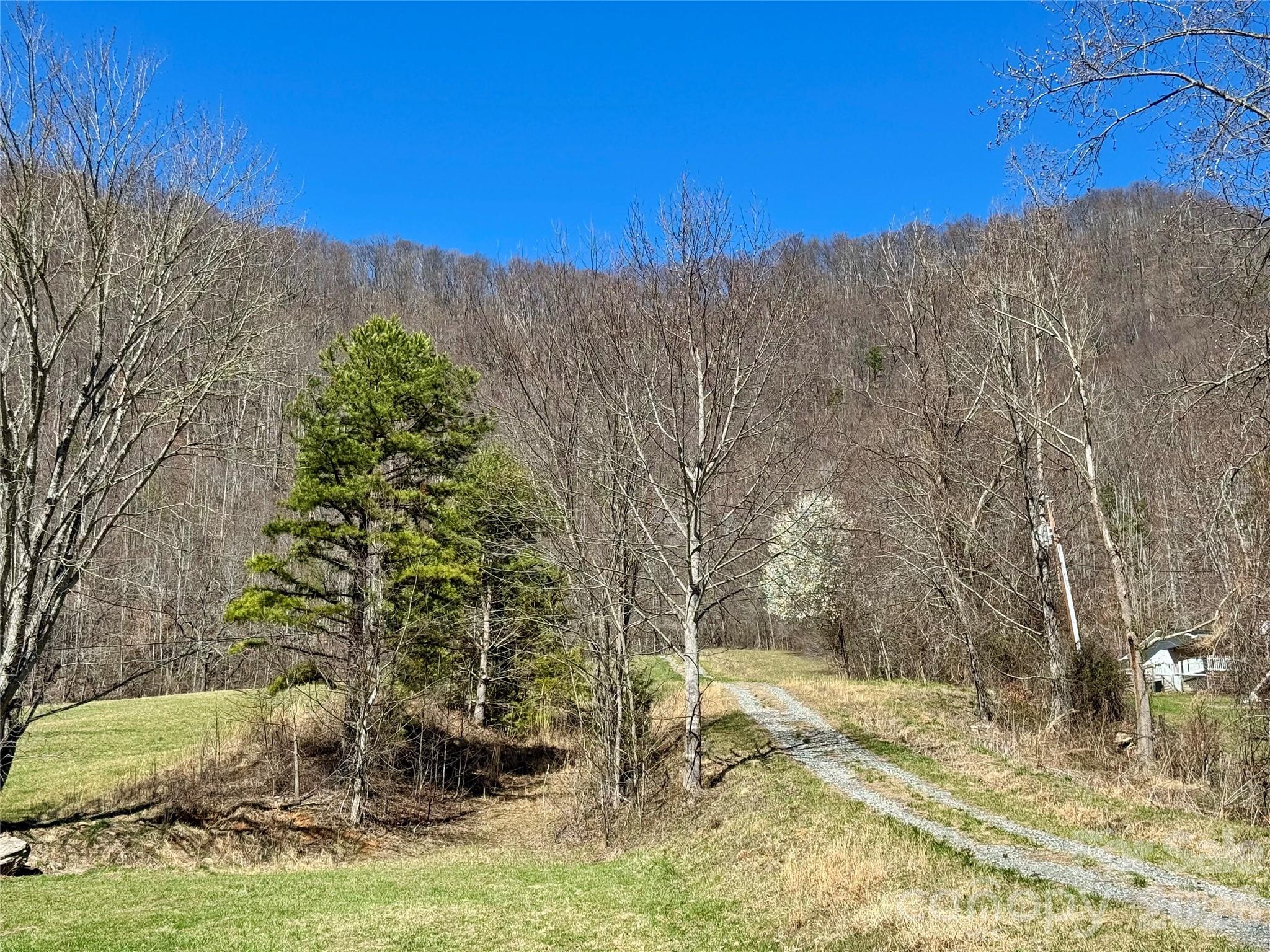 99999 North Fork Road Barnardsville, NC 28709 - Photo 7 of 12