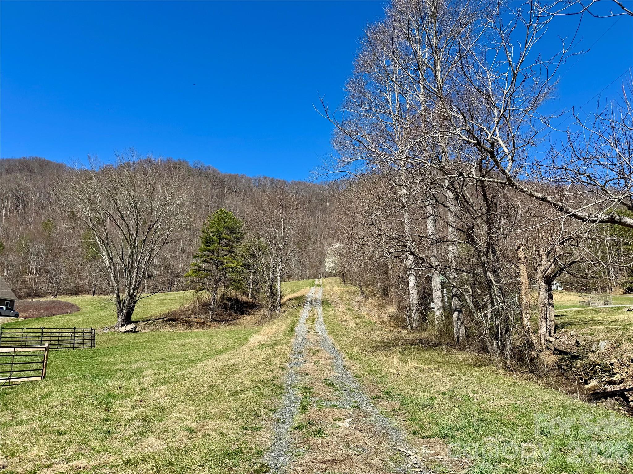 99999 North Fork Road Barnardsville, NC 28709 - Photo 8 of 12