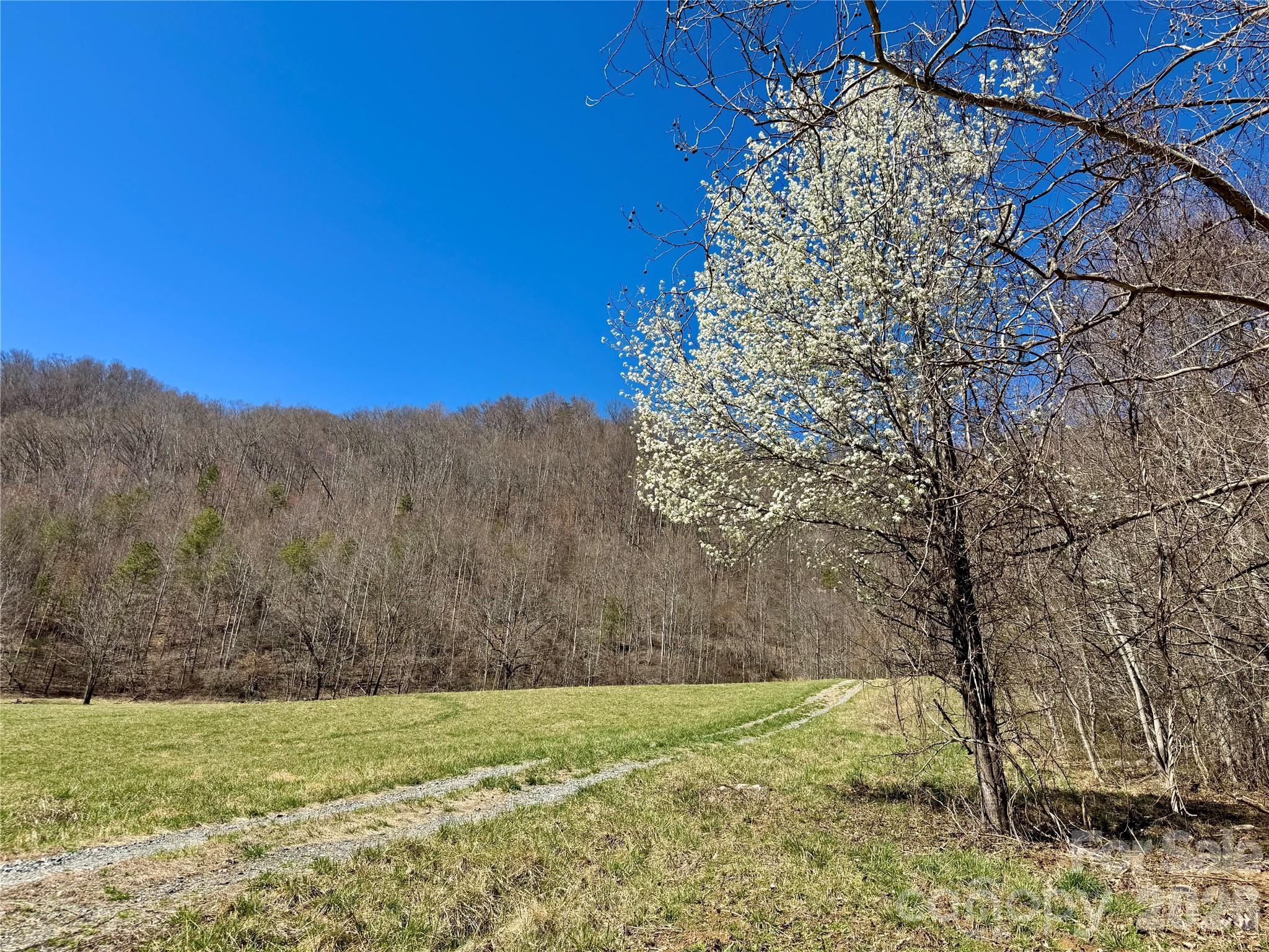99999 North Fork Road Barnardsville, NC 28709 - Photo 9 of 12