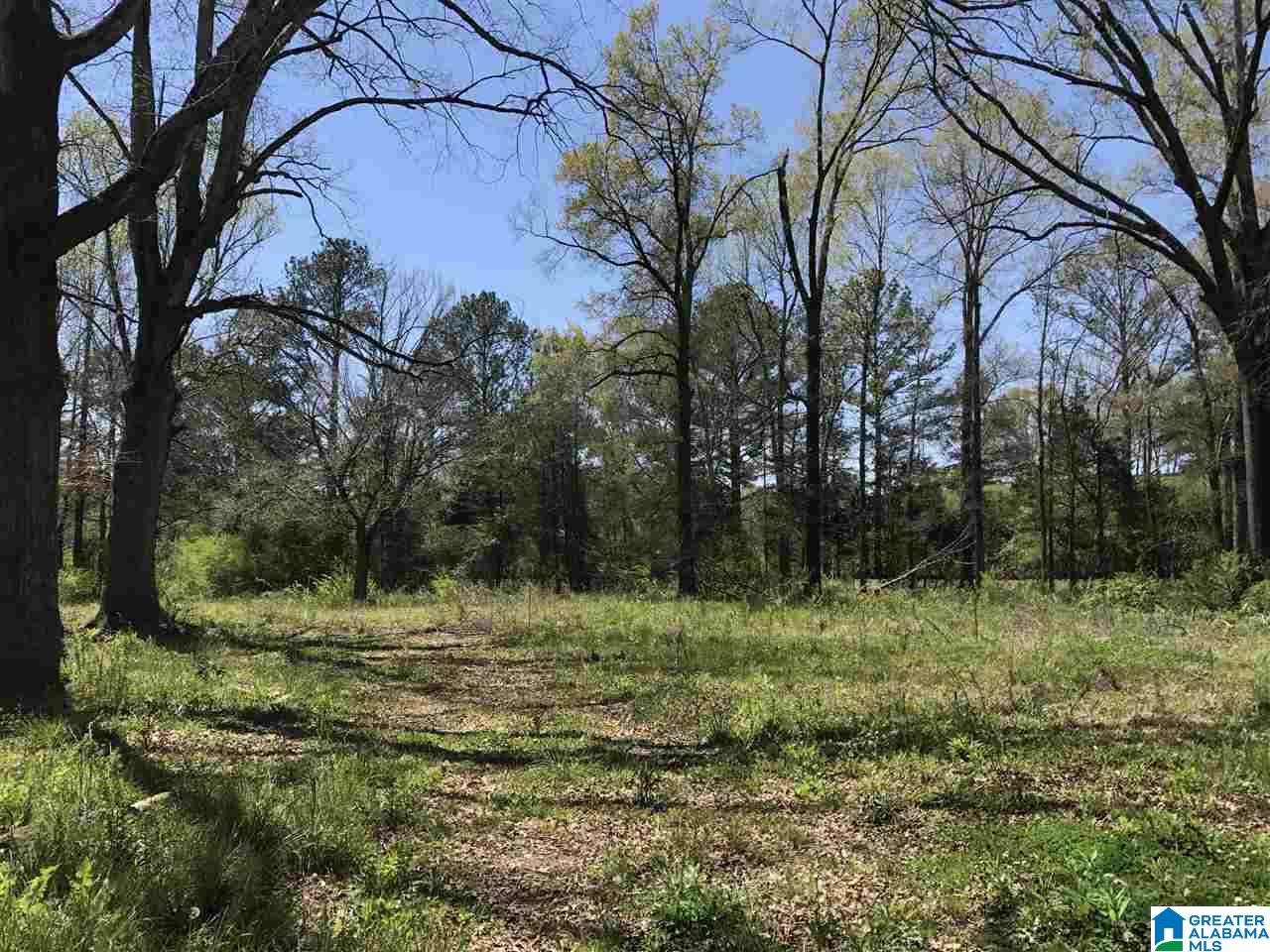 4133 Roy Webb Road, Unit 1 Jacksonville, AL 36265 - Photo 10 of 40