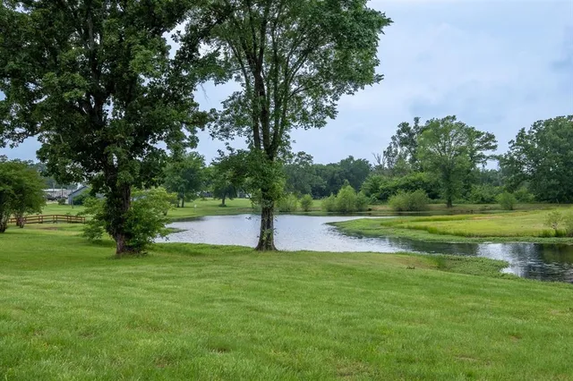 a view of a park with large trees