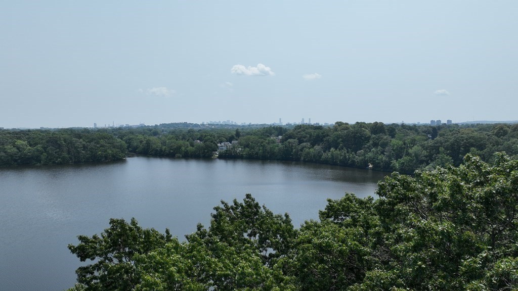 39 Beverly Road Arlington, MA 02474 - Photo 35 of 37 Gallery Image 35