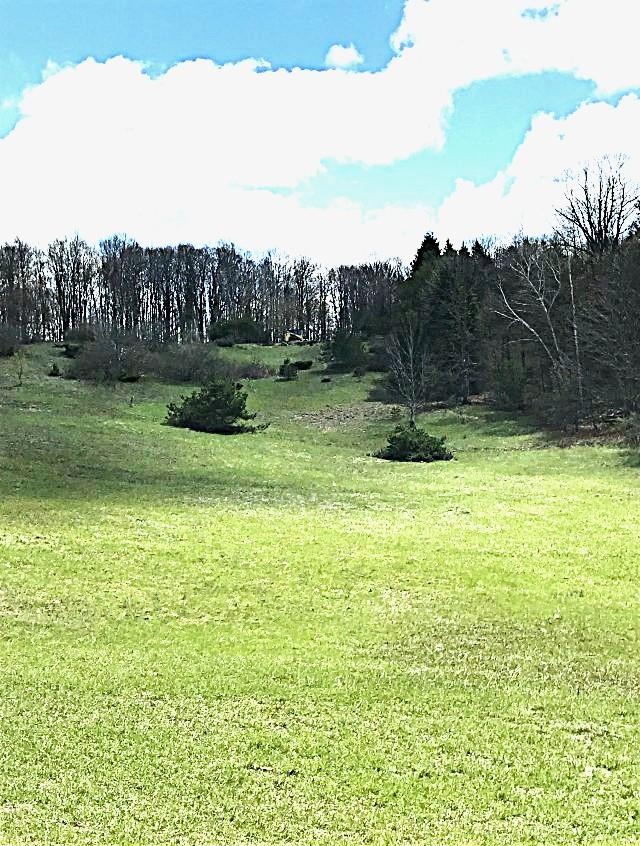 Lots 11-12 Mcpherson Road Alden, MI 49612 - Photo 2 of 12