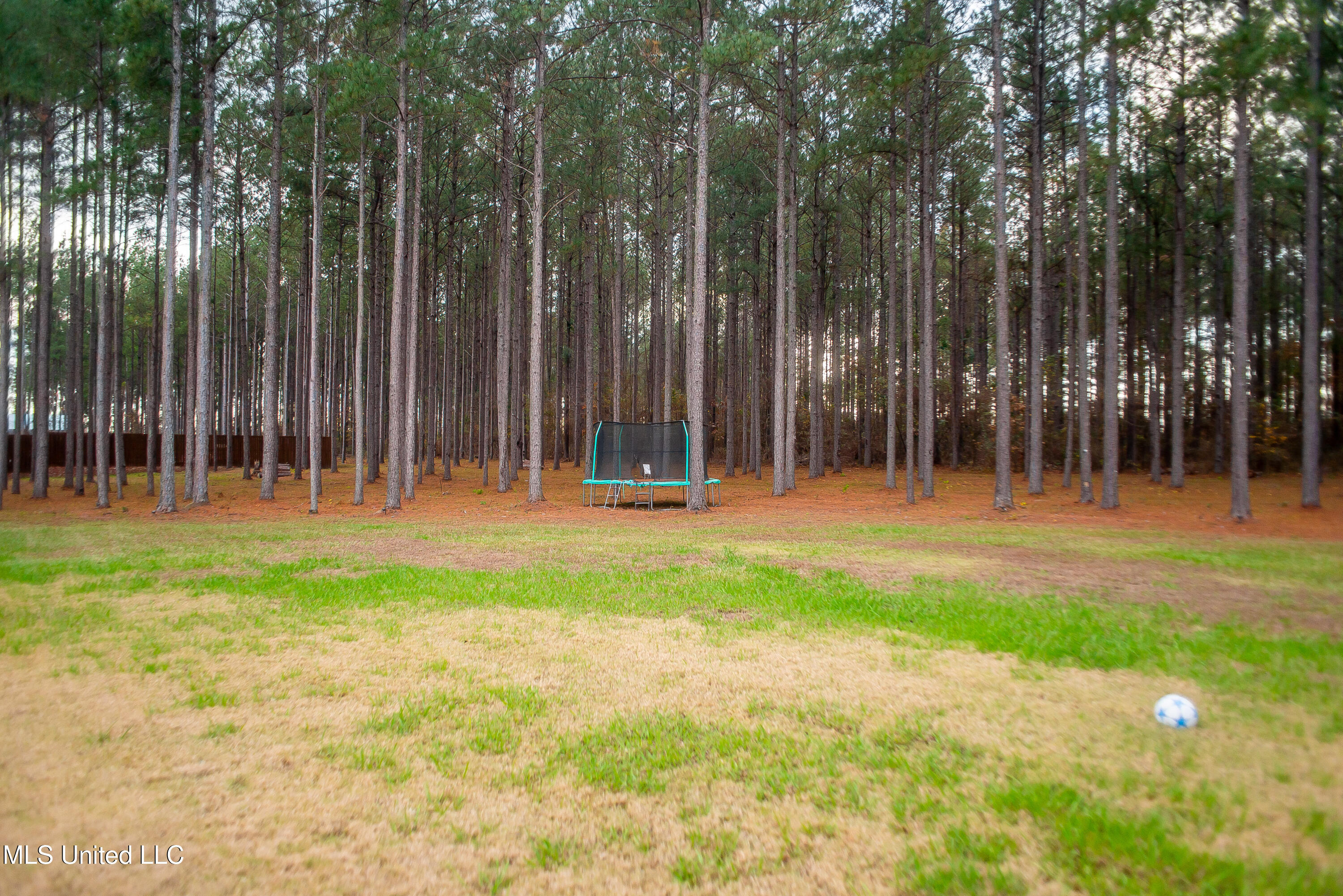 189 Stump Ridge Road Brandon, MS 39047 - Photo 14 of 137 DSC_0361
