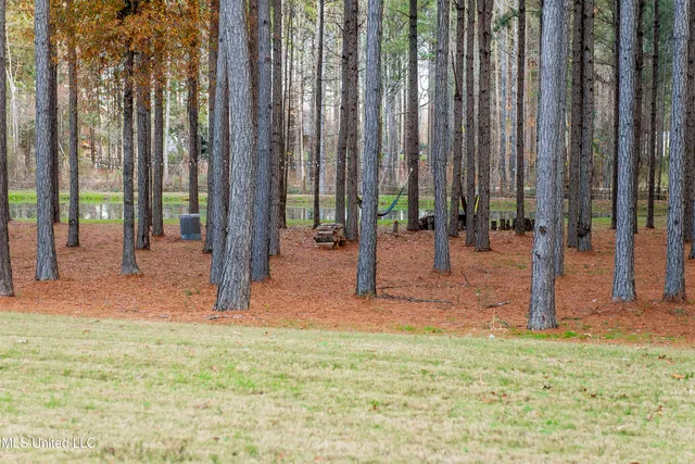 $1,250,000 | 189 Stump Ridge Road, Brandon, MS 39047