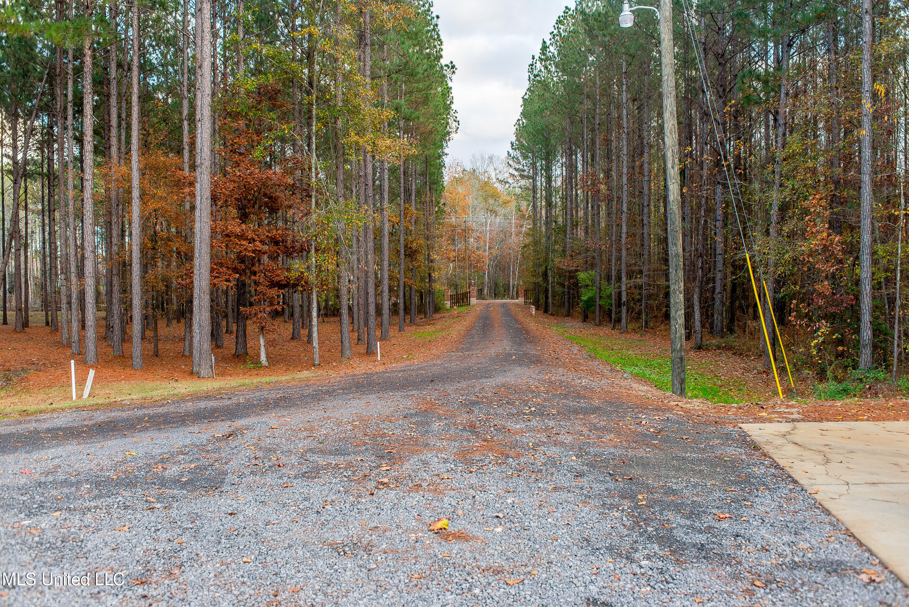 189 Stump Ridge Road Brandon, MS 39047 - Photo 99 of 137 DSC_0678