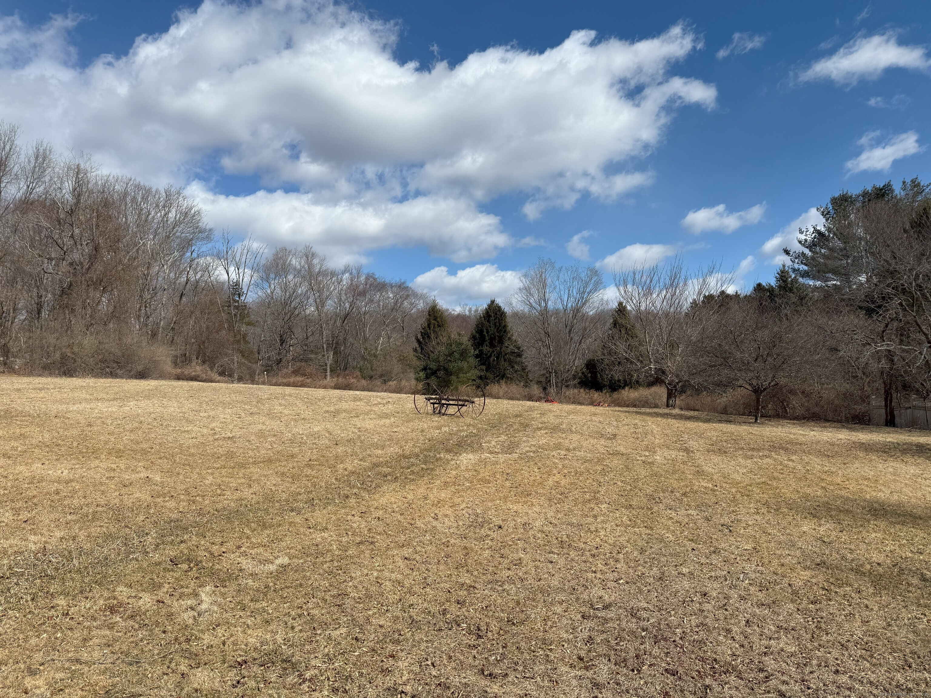 a view of large trees with wooden fence
