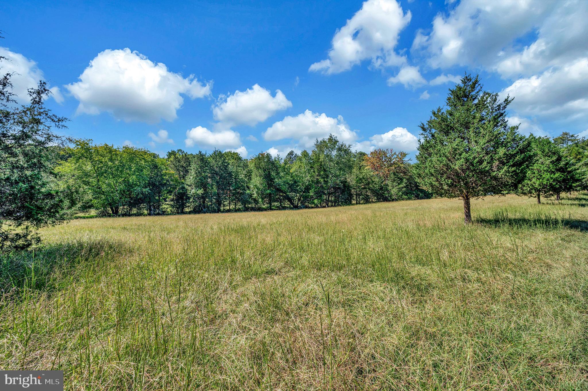 31934 Indiantown Road Locust Grove, VA 22508 - Photo 47 of 60 Pastoral view