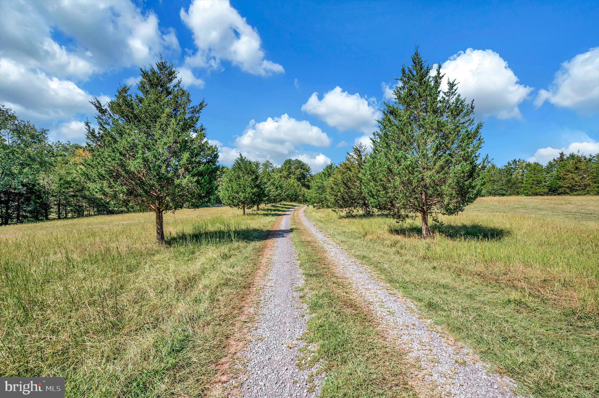 31934 Indiantown Road Locust Grove, VA 22508 - Photo 5 of 60 Tree-lined Entry to property