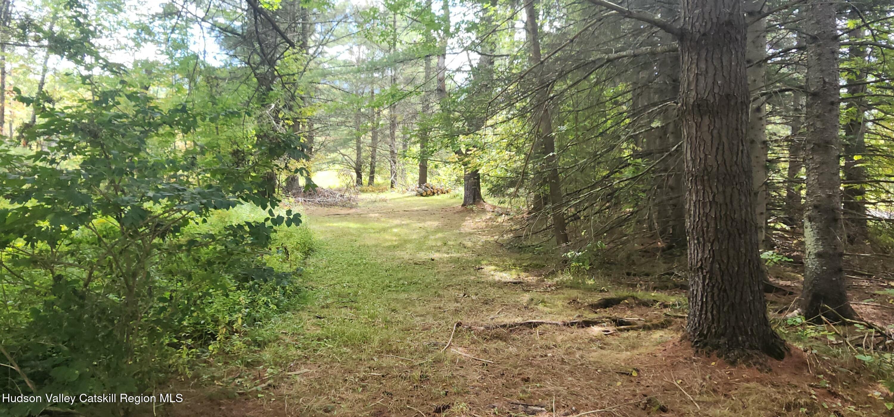 436 Big Hollow Road Maplecrest, NY 12454 - Photo 5 of 31 20250912_125716