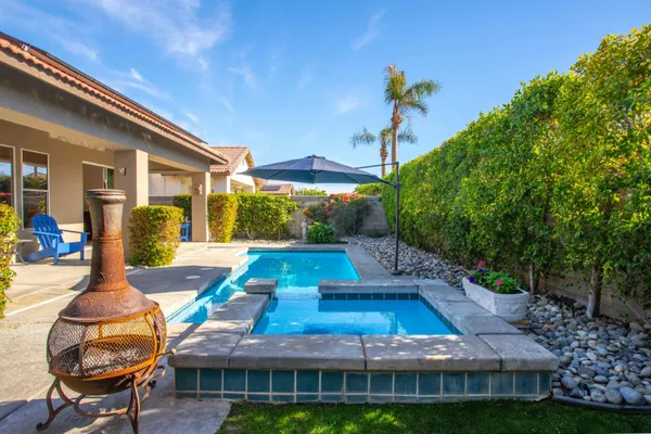 a view of a backyard with couches plants and large trees