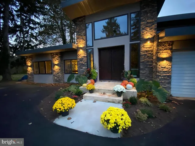 a view of a room with wooden floor and potted plant