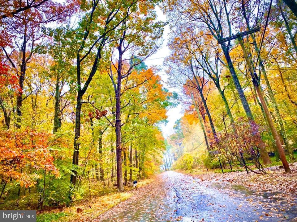 10530 Stevenson Road Stevenson, MD 21153 - Photo 93 of 98 Miles of quite neighborhood road for walking
